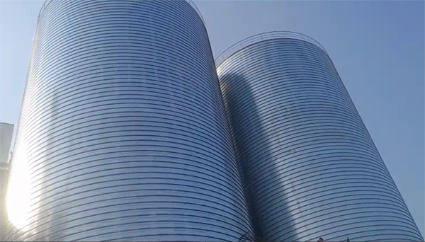 陕州2座混凝土高架卷板仓